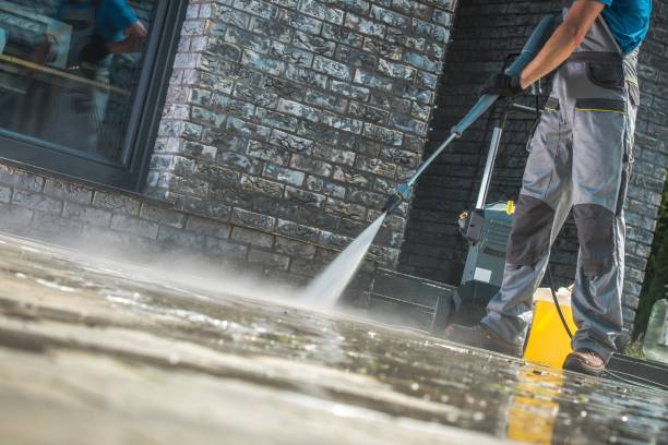 Best Animal Enclosure Cleaning  in Mayville, WI